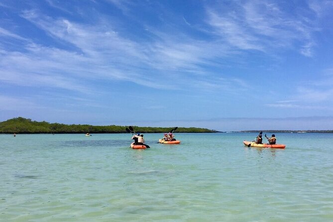 10 Days Galapagos Island Hopping: Santa Cruz & Isabela Island - Unforgettable Galapagos Memories