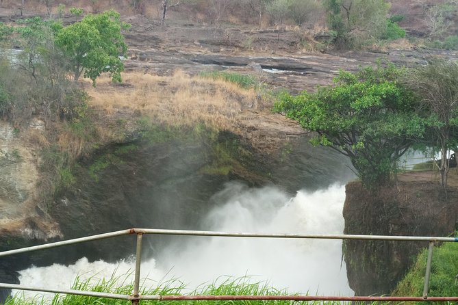 10 Days Uganda Gorilla & Chimpanzee Trekking Safari - Cruising Along the Nile