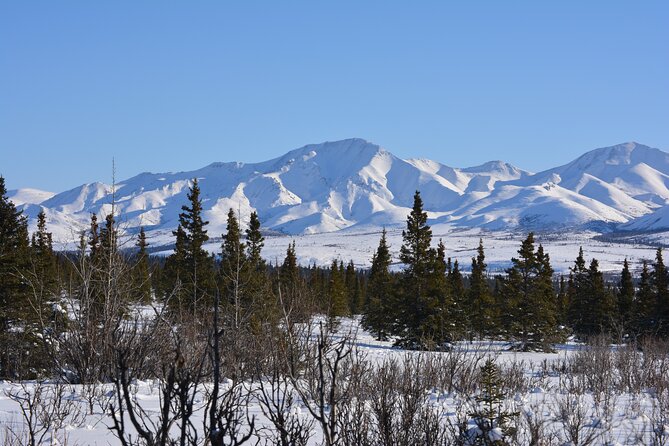 10 Hours Denali Winter Drive in Alaska - Meeting and Pickup