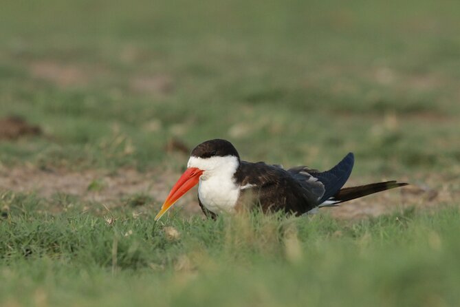 11 Days and 10 Nights Private Northern Explorer Tour - Wildlife and Scenery