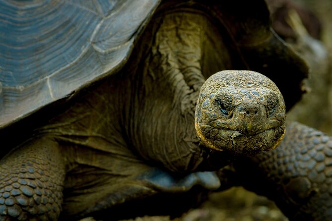 12-Day Galapagos Superior Adventure (Tourist Class) - Booking Information
