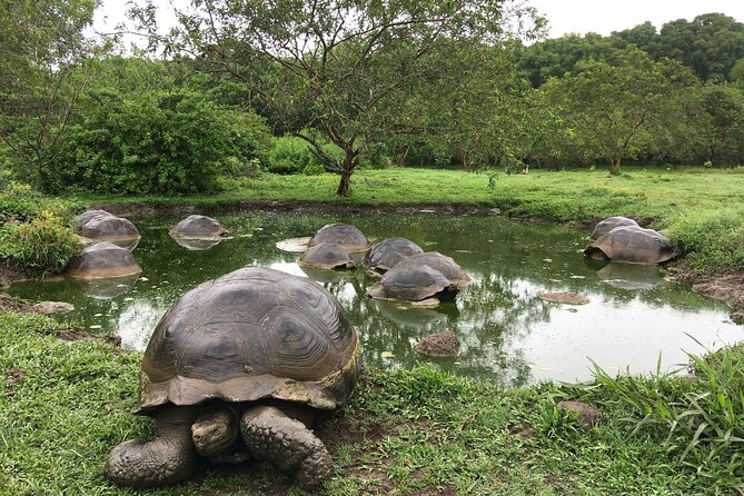 12-Day Galapagos Superior Adventure (Tourist Superior Class) - Travel Requirements