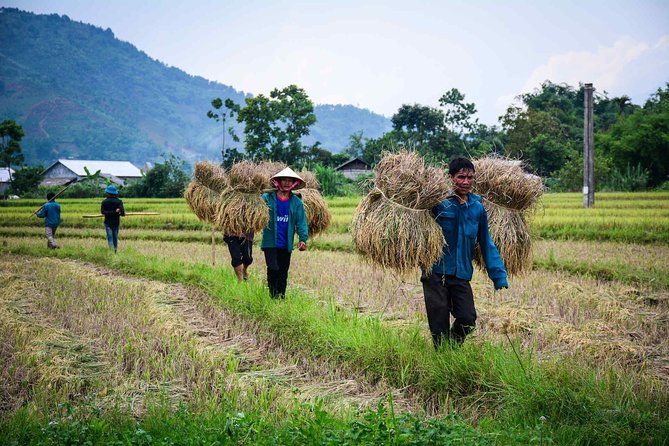 14 Days Vietnam Bicycling Tour - Customer Experiences