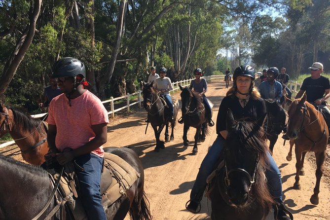 1h30m – Horse Trail - Picturesque Paarl Mountain