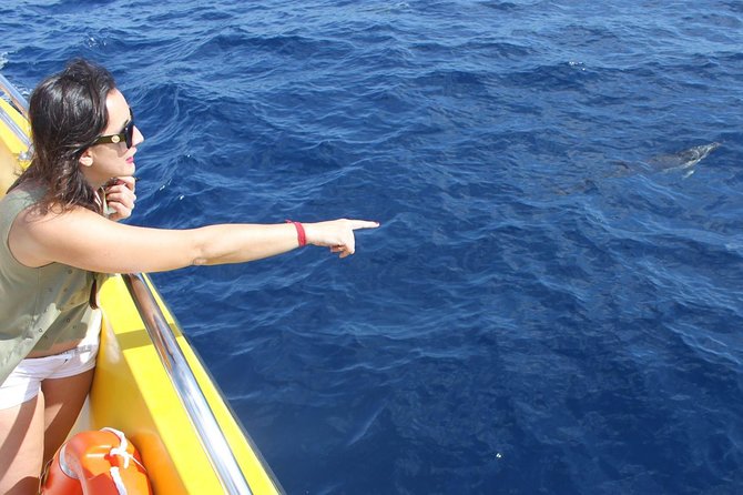 2.5-Hour Lanzarote Sunset Cruise From Marina Puerto Del Carmen - Multilingual Guide Experience