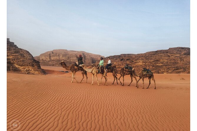 2-Day Jordan Guided Tour Petra, Wadi Rum and Dead Sea - Inclusions and Accommodations