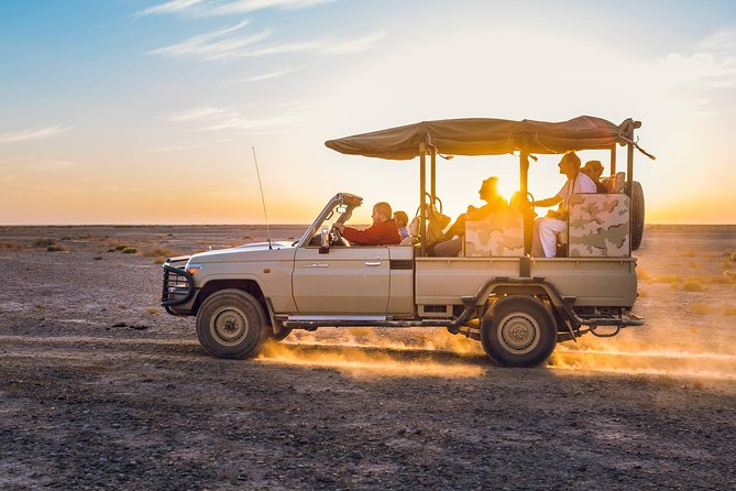 2-Day Private Tours in Jordan: Petra, Wadi Rum, and Dead Sea From Amman - Day Two: Wadi Rum Adventures
