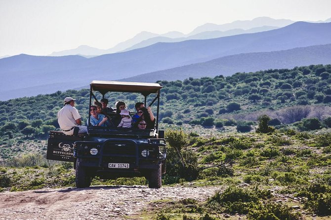 2 Day South African Wildlife Tour With 4x4 Safari From Cape Town - Optional Activities