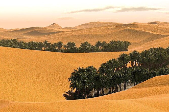 2 Days and 1 Night Private Wahiba Sands Desert Tour - Inclusions and Amenities