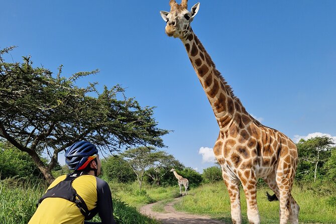 2 Days Cycling Safari To Lake Mburo National Park - Accommodation Information