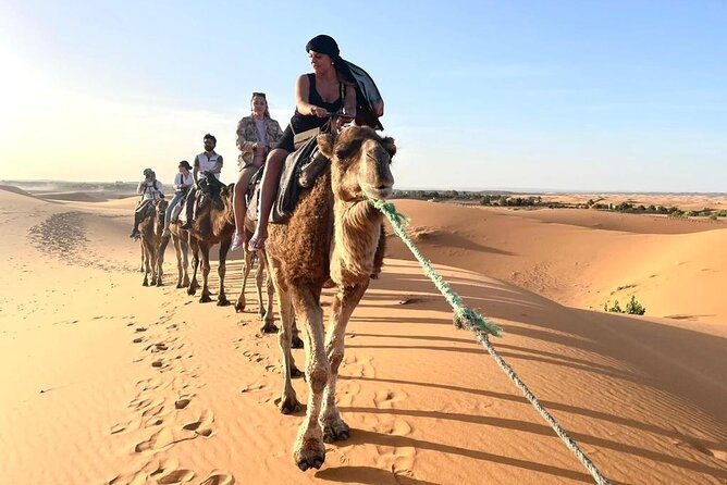 2 Days Luxury Desert Trip [Fes to Fes or Marakech] - Customer Feedback