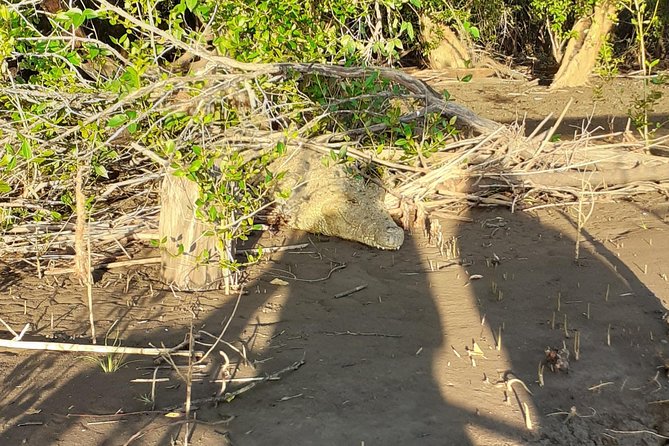 2 Days Saadani National Park From Zanzibar - Pickup and Confirmation