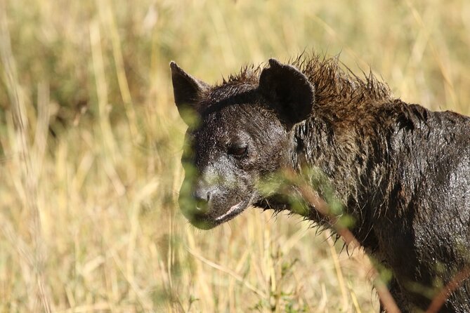 2 Days to Tarangire and Ngorongoro Crater - Group Size Benefits