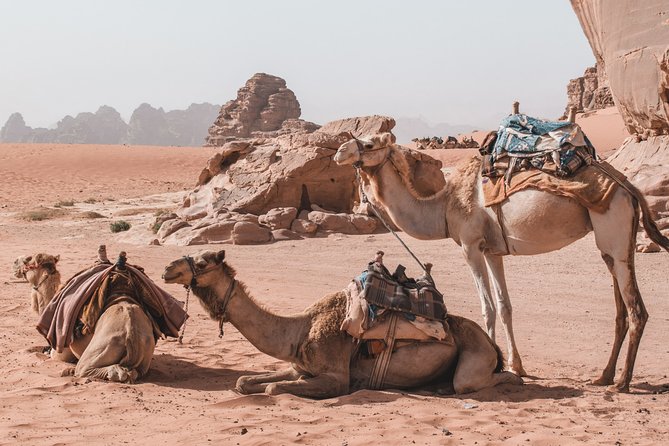 2 Days Tour | Petra, Wadi Rum & Dead Sea | Accommodation Included - Accommodation Information