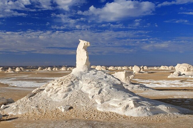 2 Days White Desert And Bahariya Oasis Tour - Included Amenities