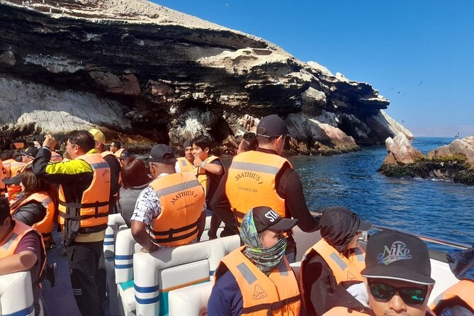 2-Hour Ballestas Islands Tour by Modern Boat - Wildlife Spotting