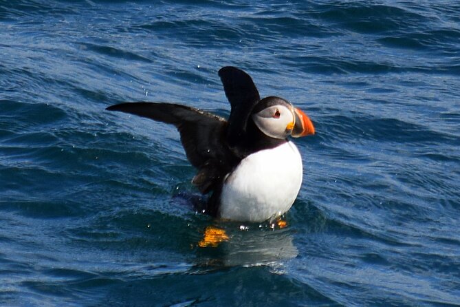 2-Hour Guided Boat Tour From St. Johns - Booking Process and Policies