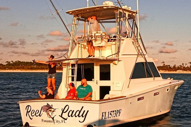 2 Hour Private Dolphin Sightseeing Tour - Convenient Meeting and Pickup