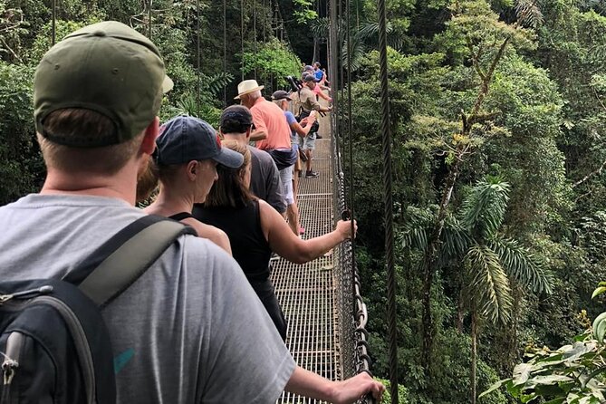 2-Hour Private Místico Hanging Bridges Naturalist Walk - Bilingual Guide Expertise