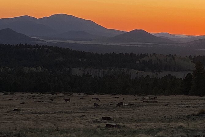 2 Hours Private E-Bike Tours In Northern Arizona - Customer Reviews and Feedback