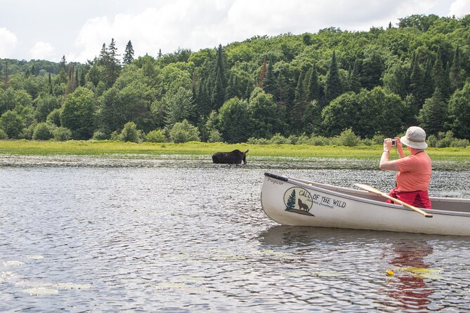 3-Day Algonquin Park Canoe Trip - Tour Guide and Fees