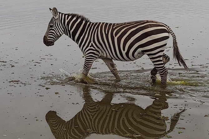 3-Day Amboseli Safari From Nairobi - Itinerary Highlights