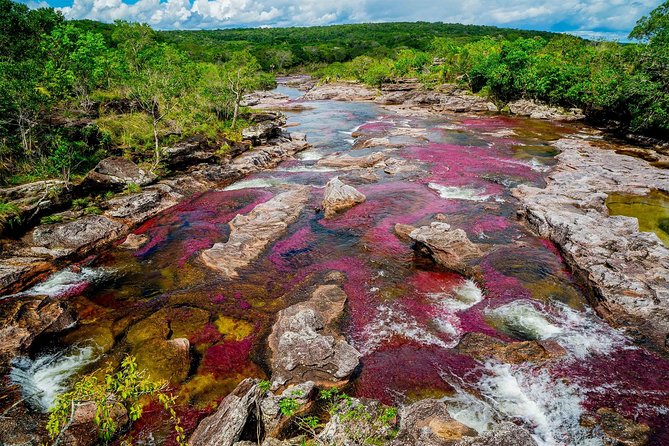 3-Day Caño Cristales (Rainbow River) From Bogotá - Sunrise and Departure on Day 3