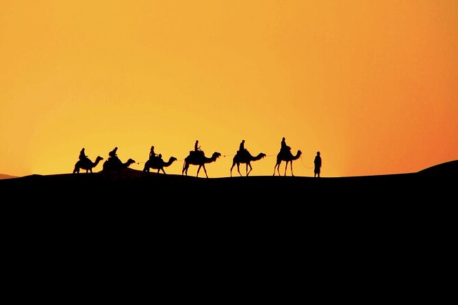 3-Day Desert Tour Marrakech to Fes via Merzouga - Day 3 Highlights