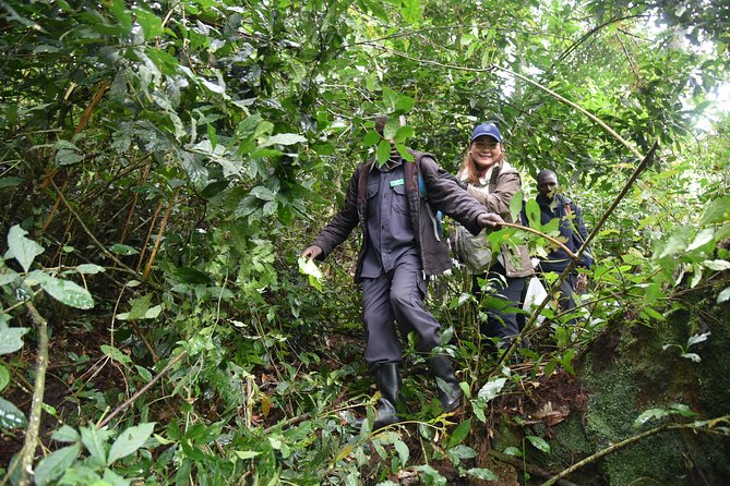 3-Day Gorilla Trekking Safari in Bwindi Impenetrable Forest - Exploring Banana Plantations and Attractions
