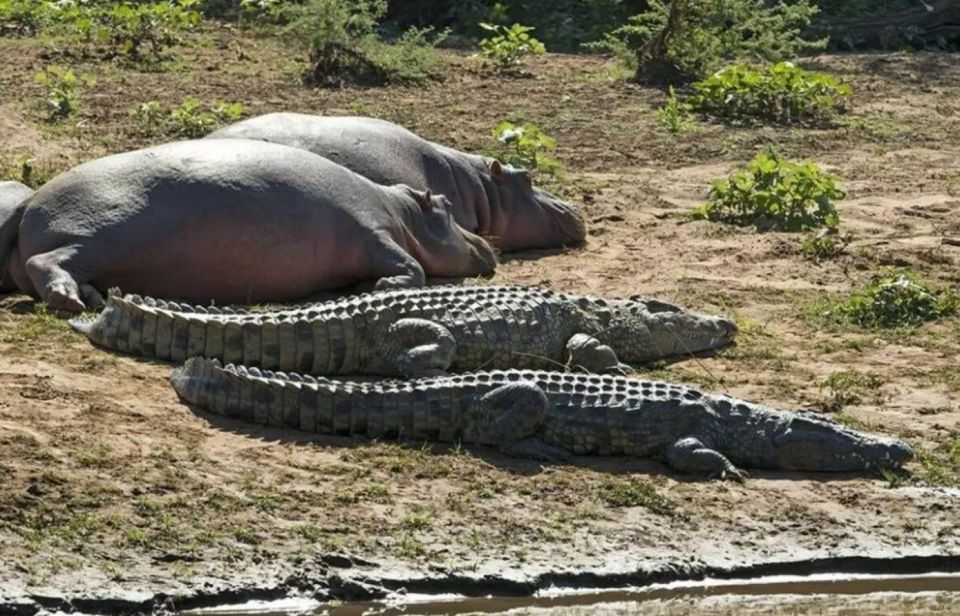 3 Day Hluhluwe & Isimangaliso Wetlands Pk Tour From Durban - Taking in Cape Vidal