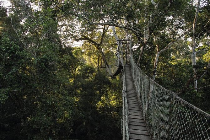 3 Day Tambopata Amazon Jungle Tour at Inkaterra Reserva Amazónica - Recommended Essentials