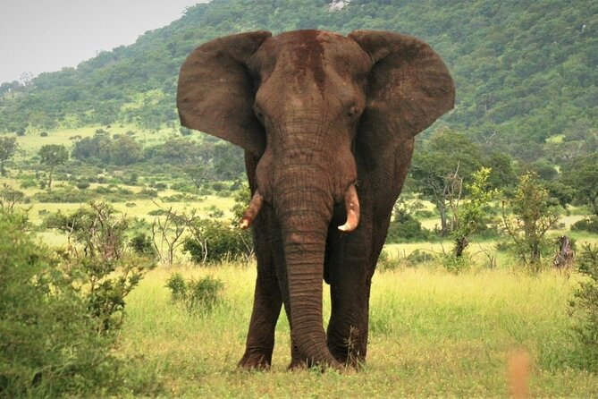 3-Day Tarangire, Lake Manyara and Ngorongoro - Traveler Tips