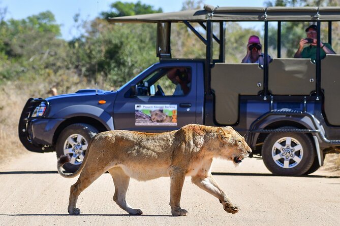 3-Day Tour of Kruger National Park From Skukuza Airport - Inclusion Details