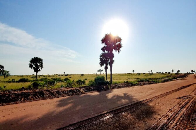 3 Days 2 Nights, Murchison Falls And Wildlife Safari - Accessibility and Restrictions