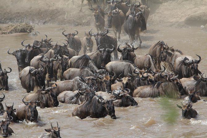 3 Days Camping Safari Tarangire, Lake Manyara and Ngorongoro Crater - Transportation and Accommodation