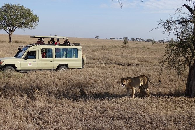 3 Days Group Joining Safari to Maasai Mara With a Land Cruiser Jeep - Transportation in Land Cruiser Jeep