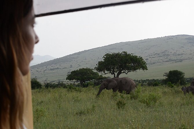 3 Days Masai Mara on Private 4x4 Land Cruiser - Day 2: Full-Day Game Drives