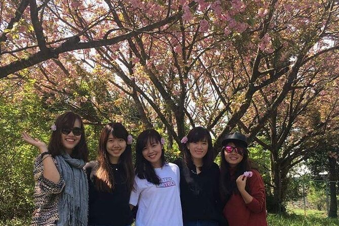 3 Days Private Taxi Tour in Jeju Island - Day 3: West Jeju Sights
