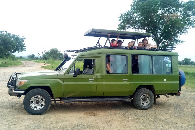3 Days Safari to Mikumi NP - Accommodation Inside the Park - Itinerary and Logistical Details