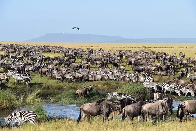 3 Days Tanzania Safari - Tarangire, Ngorongoro, Manyara - Inclusions and Amenities