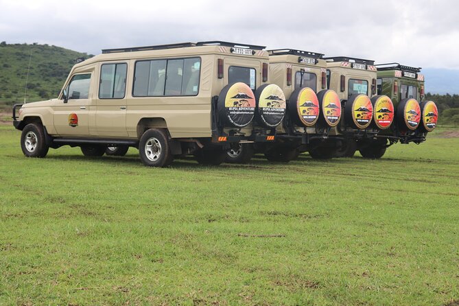 3 Days Tanzania Safari - Day 3: Tarangire National Park