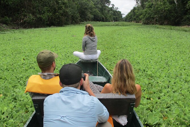 3-Days Tour in the Amazon Rainforest at Curassow Amazon Lodge - Accommodation and Meals