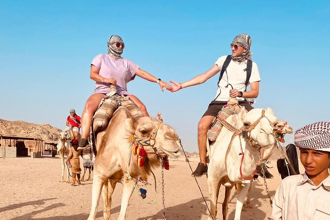 3-Hour ATV Quad Bike Desert Safari Adventure in Hurghada - Traveler Reviews and Feedback