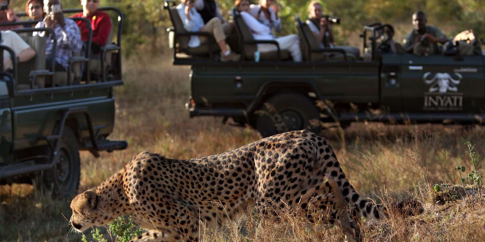 3 Hour Blue Canyon Private Reserve Game Drive - Spotting the Elusive Big 5