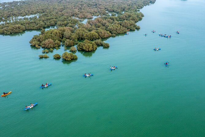 3-Hour Kayaking Eco Adventure - Mangrove Purple Island - Group Size and Cancellation Policy