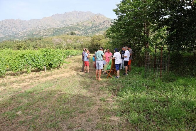 3-Hour Private Wine Tasting Tour Around Ile Rousse - Highlights of the Wine Tour