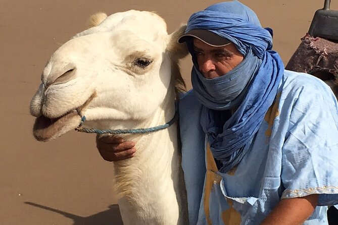 3 Hours Camel Ride in Essaouira, Beach and Dunes - Transportation Arrangements