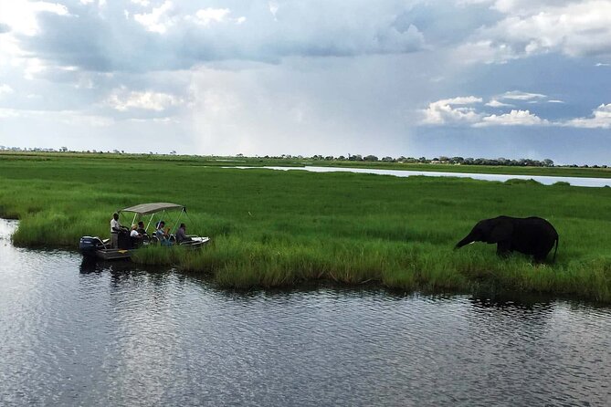 3 Hours Chobe River Boat Cruise - Booking and Cancellation