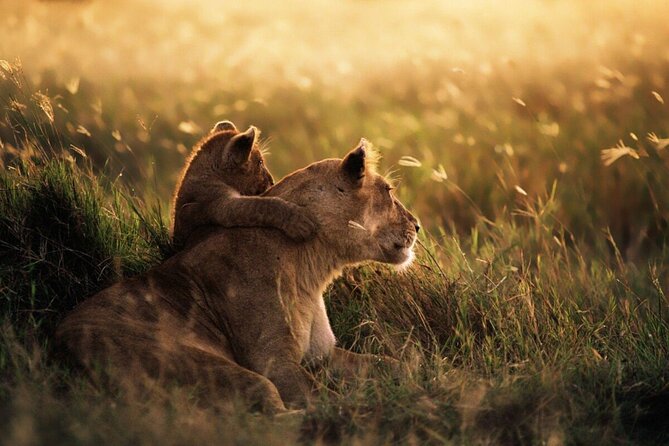 4-Day Budget Tarangire, Serengeti, Ngorongoro Safari Guided Tour - Photographic Safari Highlights