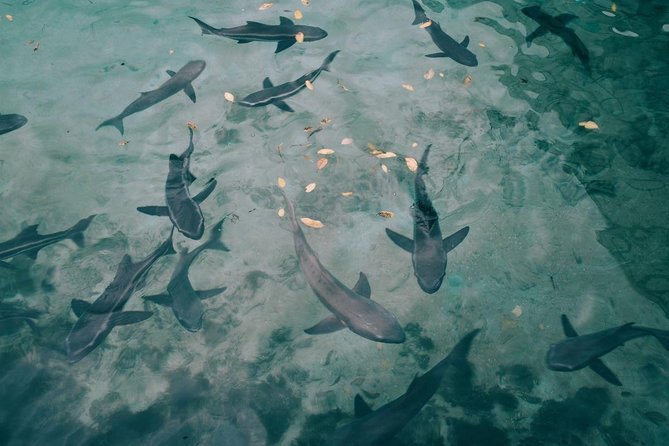 4-day Galapagos on a Budget Experience - Exploring the Twin Craters